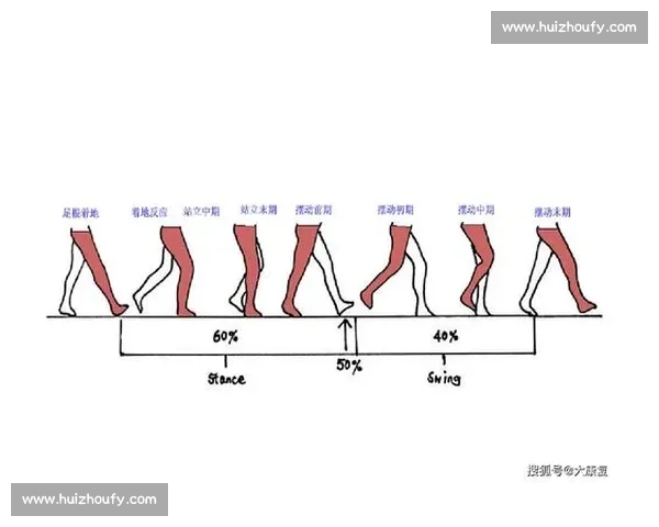 基于训练周期的优化策略研究与实践分析 基于训练周期的优化策略研究与实践分析